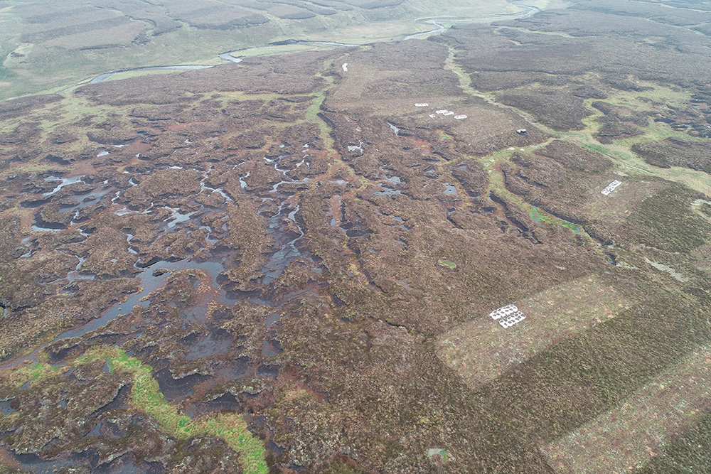decorative image for A healthy peatland  slows the flow of water